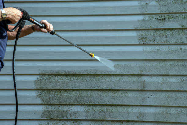 Best Driveway Cleaning and Restoration in North Alamo, TX
