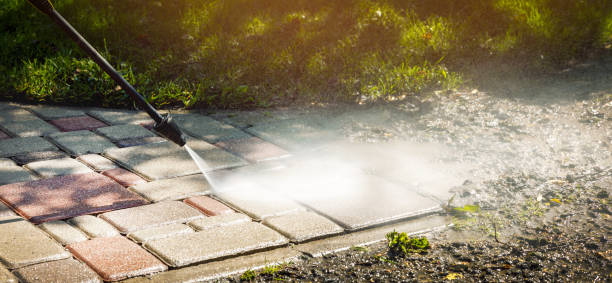 North Alamo, TX Pressure Washing Services Company